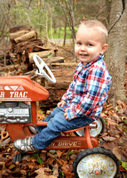 Dylan 2 year Birthday and Christmas Session