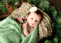 DSC_8651_edited-2