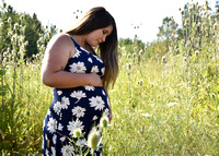 Kaitlyn Maternity Session